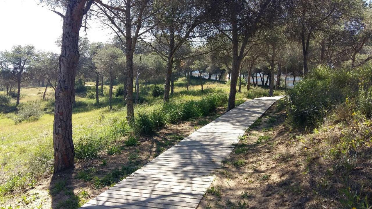 Studio Bellavista Lejlighed La Mata  Eksteriør billede