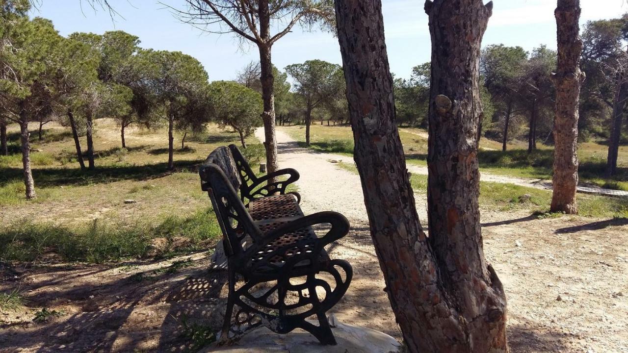 Studio Bellavista Lejlighed La Mata  Eksteriør billede